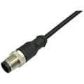 Miniatyrbild 1 av 2: BKL Electronic 2702026 Sensor/ställdon-anslutningskabel M12 Kontakt hane rak 10 m Antal poler (RJ): 4,5 1 st