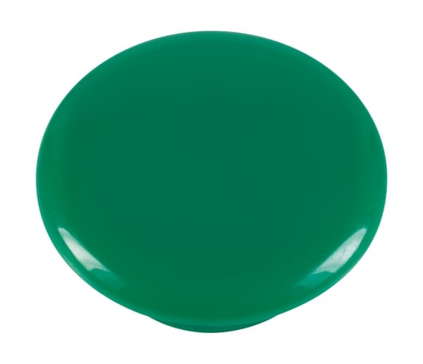 Beaphar rentouttava kaulapanta koirille - 65 cm