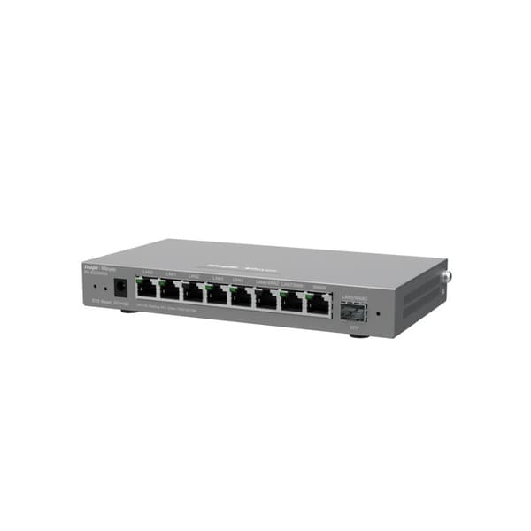 Ruijie Networks RG-EG209GS kablet router Gigabit Ethernet Grå