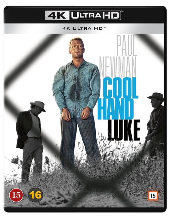 Cool Hand Luke (4K Ultra HD)