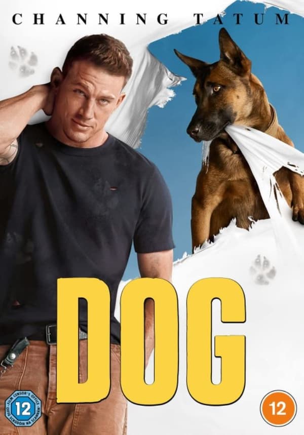 Dog (Import)