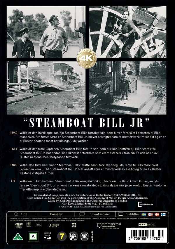 Steamboat Bill Jr.