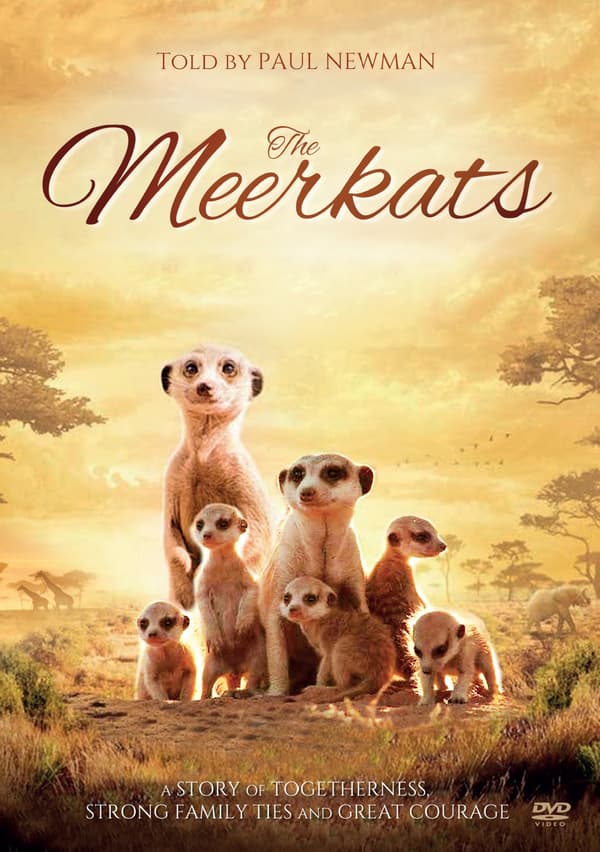 The Meerkats