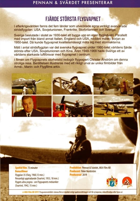 Fjärde största flygvapnet