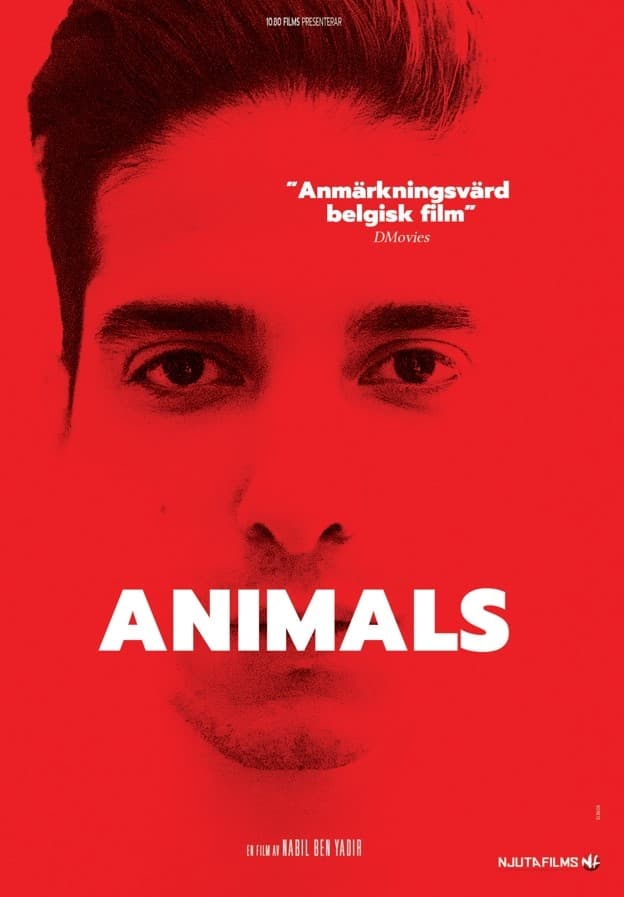 Animals