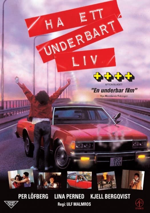 Ha Ett Underbart Liv
