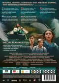 Pikkukuva 2 / 2: Where the Crawdads Sing (DVD)