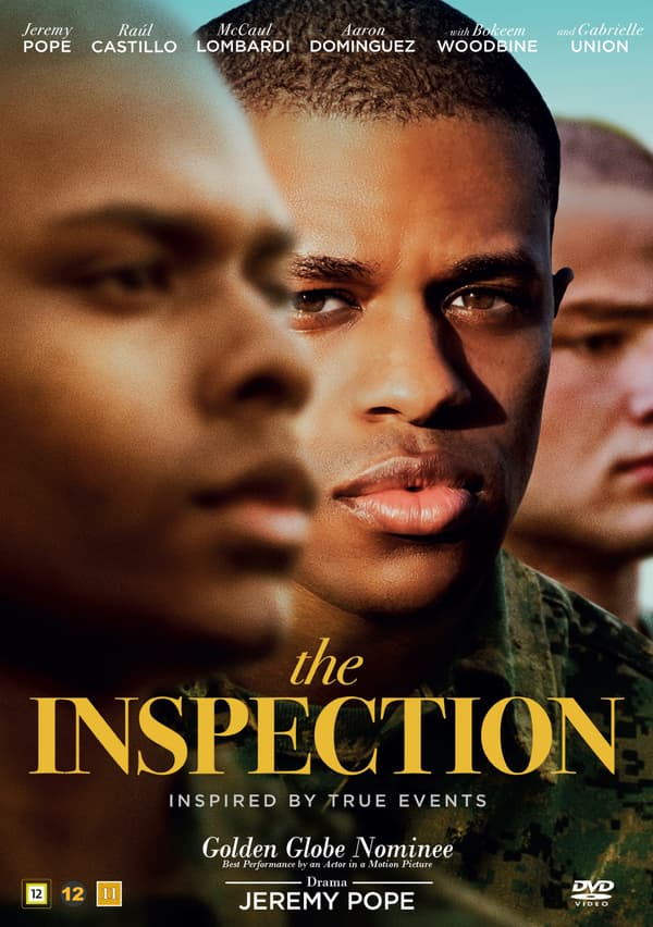 Inspection