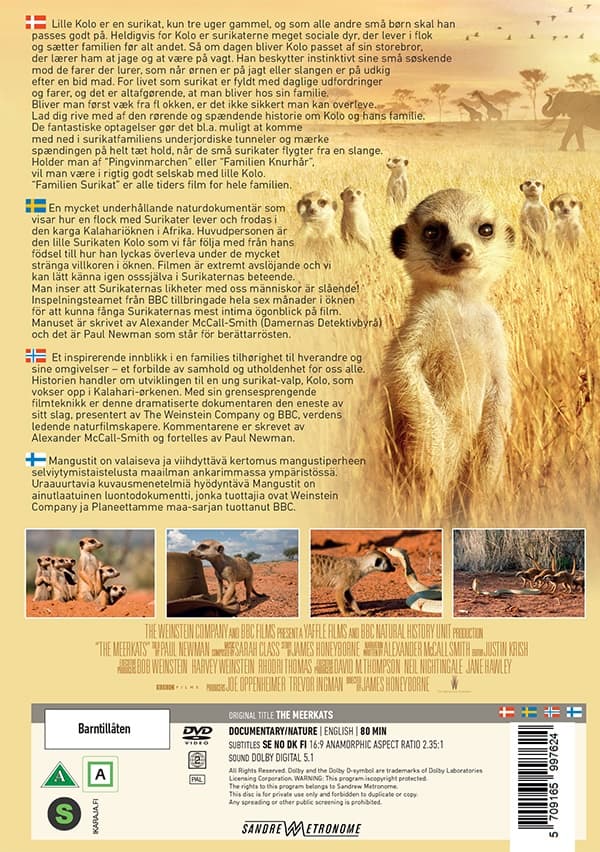The Meerkats