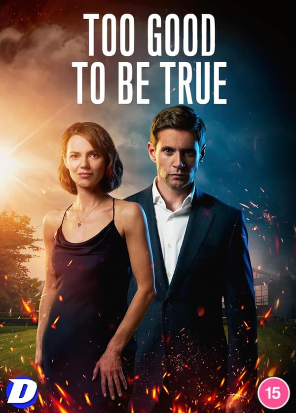 Too Good to Be True (Import)