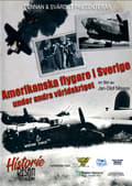 Miniatyrbilde 1 av 2: Amerikanska flygare i Sverige under andra världskriget