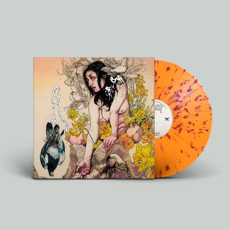 Meir (Limited Orange With Purple Splatter Edition)