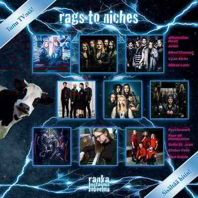 Rags To Niches