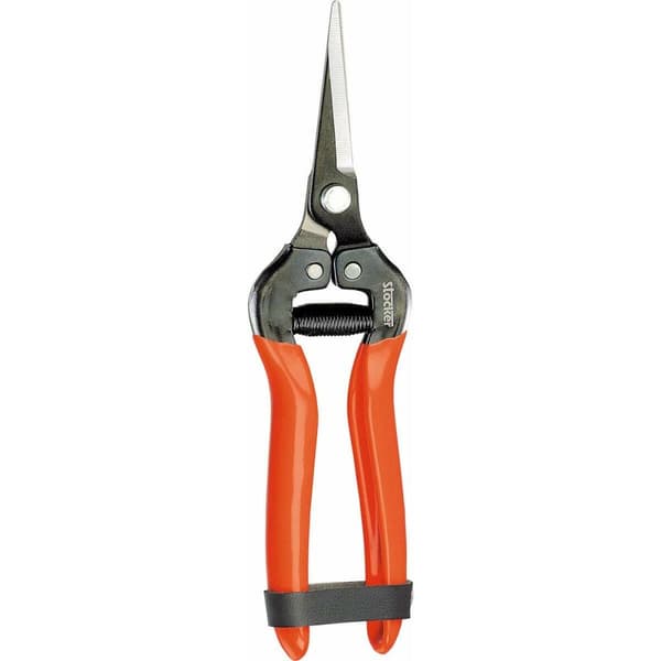 Havesaks Stocker Smedet stål 19 cm Frugt- og grøntsagsplukker Druer