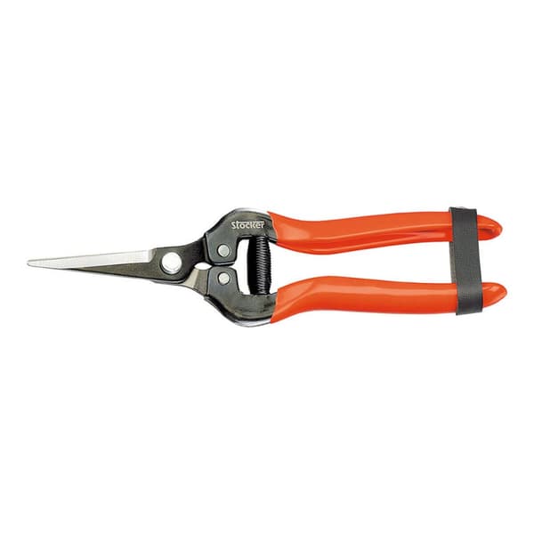 Havesaks Stocker Smedet stål 19 cm Frugt- og grøntsagsplukker Druer