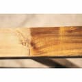 Miniatyrbillede 4 af 5: Brush for surface renovator Scheppach MRS1300 Syntetisk fiber