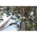 Miniatyrbillede 6 af 6: Pole saw Greenworks G40PSF