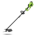 Miniatyrbillede 1 af 4: Multifunktionel buskrydder Greenworks G40LT 40 V Ø 40 cm