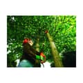 Pikkukuva 4 / 8: Saha Black & Decker Jatkettava sauvanvarsi 800 W (25 cm)