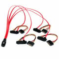 Pikkukuva 1 / 3: SATA kaapeli Startech SAS808782P50