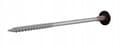Miniatyrbillede 6 af 9: GTRW SP A19 skruer 6,4/7,0x100mm RAL 9007