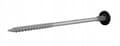Miniatyrbillede 6 af 9: GTRW SP A19 skruer 6,4/7,0x160mm RAL 7016