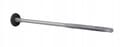 Miniatyrbillede 6 af 9: Skruer GTR6 SP A19 5,5/6,3x150 mm RAL 9007