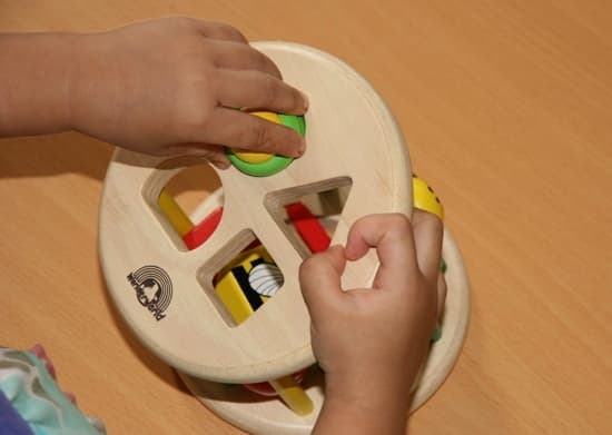 Djur och natur sorterare - pedagogisk träleksak från Wonderworld toys
