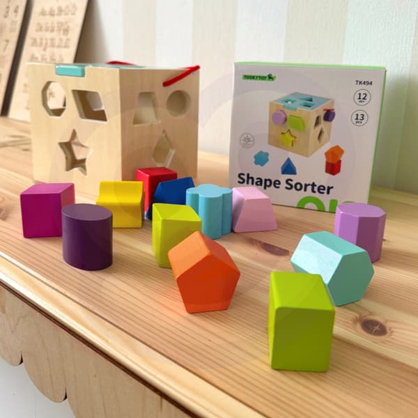 TOOKY TOY Puulajittelijan värikuutio värillisillä kuvioilla 13 kpl.