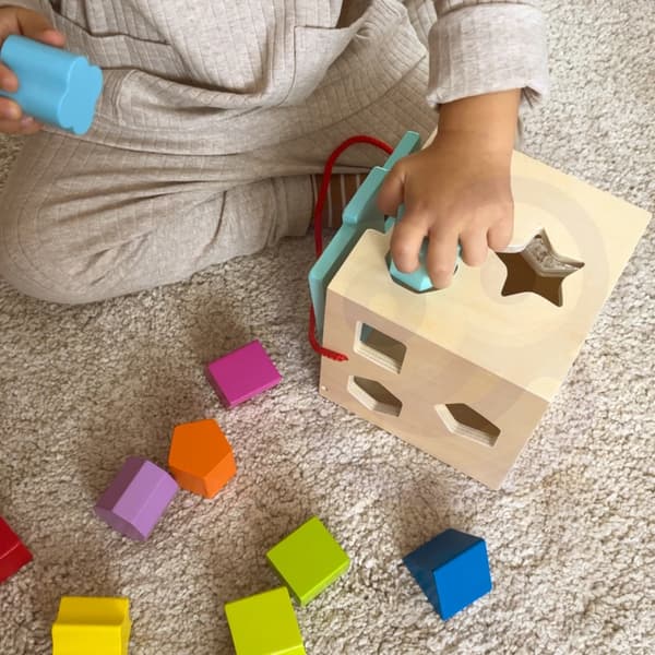 TOOKY TOY Puulajittelijan värikuutio värillisillä kuvioilla 13 kpl.