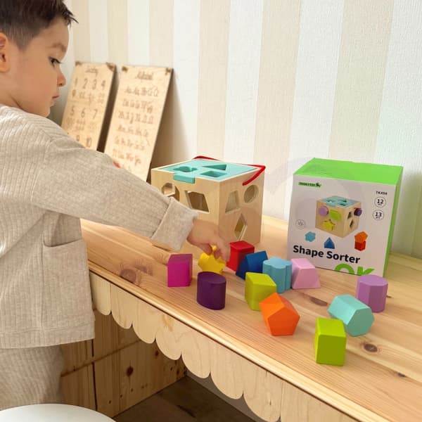TOOKY TOY Puulajittelijan värikuutio värillisillä kuvioilla 13 kpl.