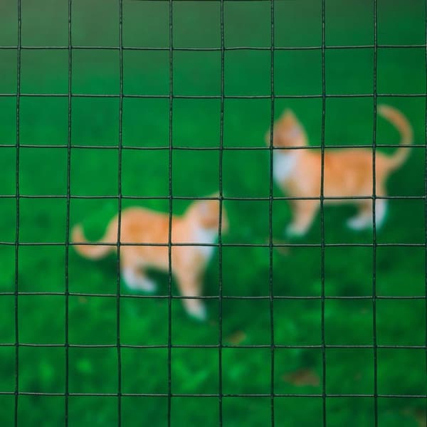 Nature Gjerdenetting firkantet 1x5 m 25 mm plastbelagt stål grønn