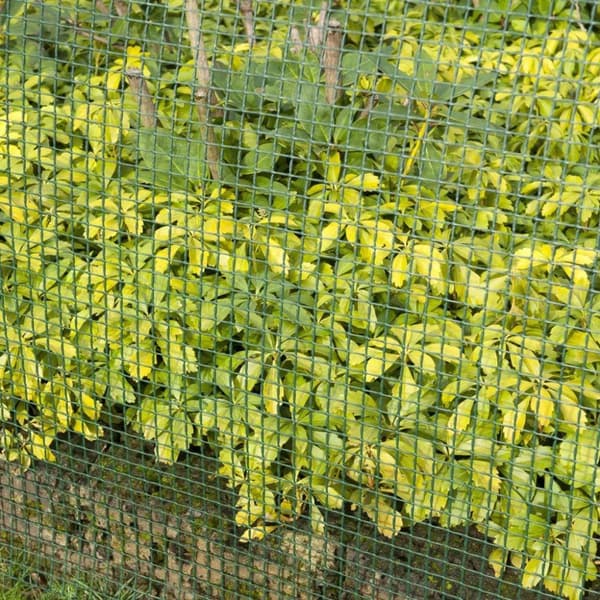 Nature Gjerdeskjerm firkantet netting 20x20 mm 1x3 m grønn