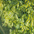 Miniatyrbilde 2 av 5: Nature Gjerdeskjerm firkantet netting 20x20 mm 1x3 m grønn