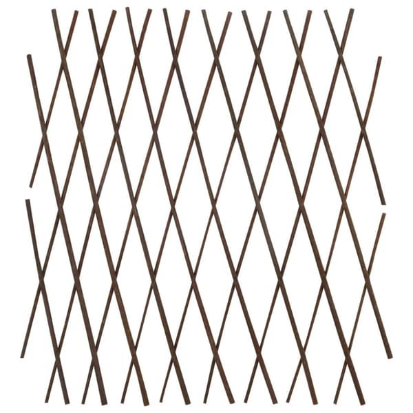 vidaXL pilehegn med espalier 5 stk. 180 x 60 cm