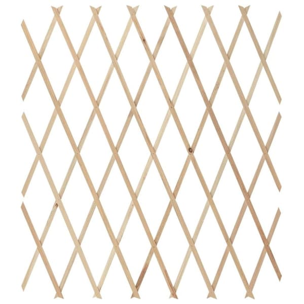 vidaXL espalierhegn 5 stk. 180x80 cm massivt fyrretræ