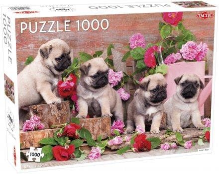Pussel 1000 bitar  - Puppy Pugs