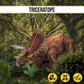 Miniatyrbild 4 av 4: Pusselfeststad - National Geographic Triceratops, 3D-barn 8 år, Pussel, Leksaker, Dinosauriespel, 8.4366E+12