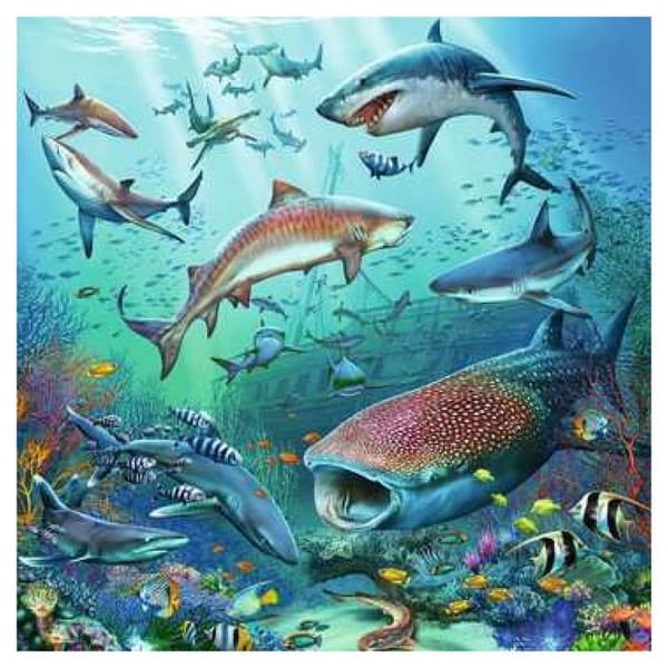 Ocean Animals Pussel - Ravensburger - 3 x 49 bitar - För barn från 5 år och uppåt