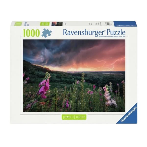 Ravensburger pusselbit jigsaw en storm sjö, 1000st.