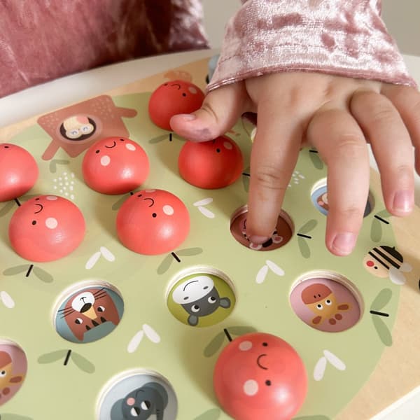 TOOKY TOY Hukommelse Apple Hukommelse Spil