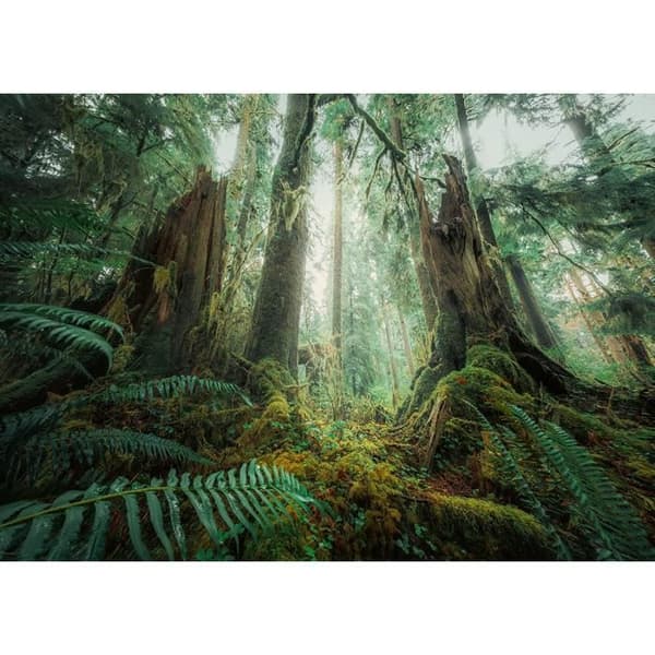 Ravensburger Nature Edition - Im Wald - 1000 ark