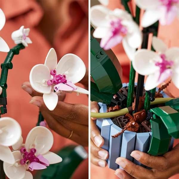 Byggsats Lego 10311 ORQUÍDEA Blå Multicolour 608 Delar
