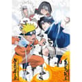 Miniatyrbild 5 av 5: Pussel med 1000 bitar: Naruto vs Sasuke