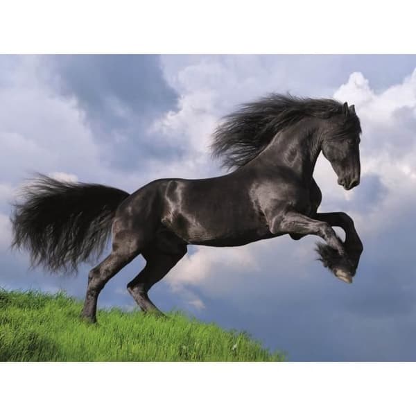 Pussel - Clementoni - Fresian svart häst - 500 bitar - Djur - Barn
