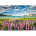 Miniatyrbild 1 av 3: Pussel Compact 1500 bitar: Lupin vid sjön Tekapo