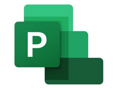 Microsoft Project Professional 2019 - Bokspakke - 1 PC - medieløs - Win - Tysk