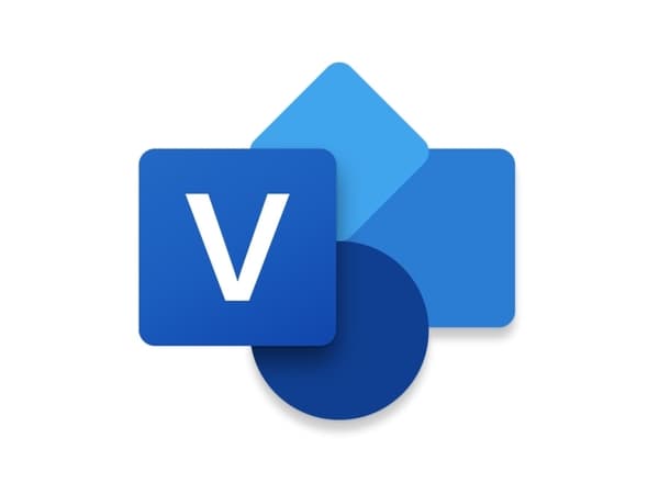Microsoft Visio Professional 2021 - Bokspakke - 1 PC - P8, medieløs - Win - Engelsk