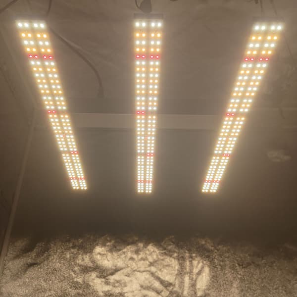 LED Vækstlys, Fuldspektrum, Høj Effektivitet,180W