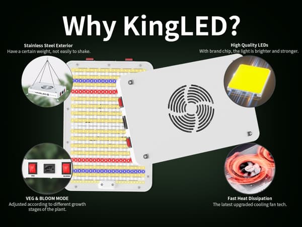 LED-kasvivalo, täysivalo, 100W teho